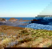 Phillip Island Walking  Bird Watching Tour - Lightning Ridge Tourism