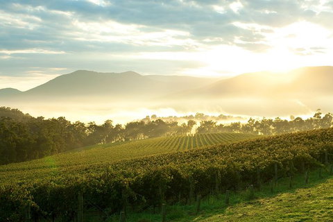 Yarra Valley Private Tour Including Healesville Sanctuary And Wineries - Lightning Ridge Tourism 0