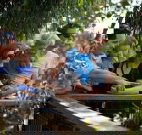 Phillip Island 3 Park Pass Penguin Parade Koala Conservation Centre and Penguin Parade Koala ConservationHeritage Farm - Lightning Ridge Tourism