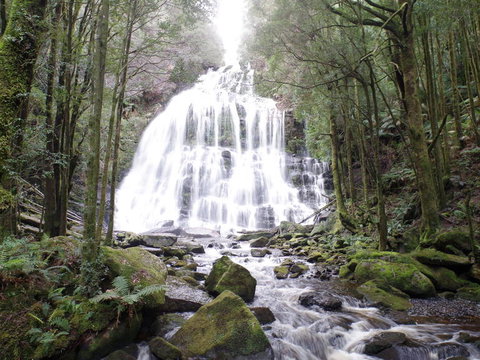 5-Day Best Of Tasmania Tour From Hobart - Lightning Ridge Tourism 2