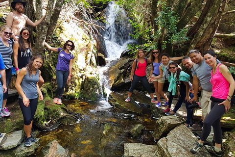 5-Day Best Of Tasmania Tour From Hobart - Lightning Ridge Tourism 9