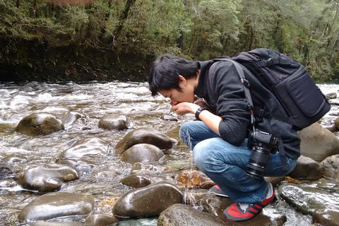 5-Day Best Of Tasmania Tour From Hobart - Lightning Ridge Tourism 11