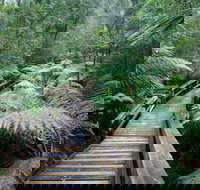 Small-group DayTour from Hobart Hastings Caves Huon Valley and Tahune AirWalk - Lightning Ridge Tourism