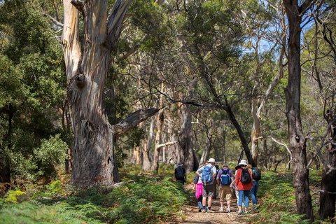 Maria Island Active Day Trip From Hobart - Lightning Ridge Tourism 12