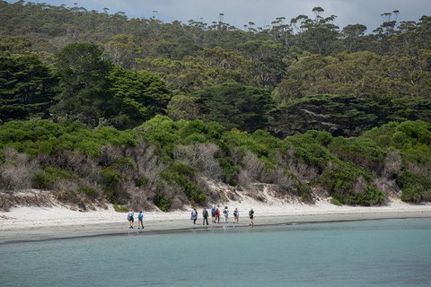 Maria Island Active Day Trip From Hobart - Lightning Ridge Tourism 11