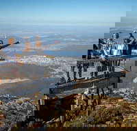 Mt Field National Park Active Day-Trip Including Bonorong and Mt Wellington - Lightning Ridge Tourism