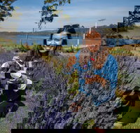 Port Arthur and Lavender Farm Active Day Tour - Lightning Ridge Tourism