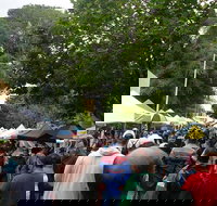 Hobart Half-Day Sightseeing Coach Tram Tour - Lightning Ridge Tourism