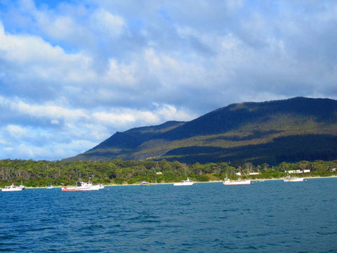 Full-Day Tasman Peninsula Tour From Hobart - Lightning Ridge Tourism 7