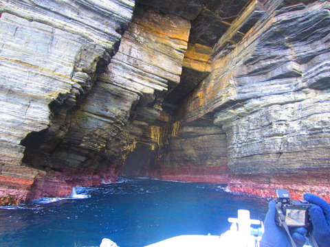 Full-Day Tasman Peninsula Tour From Hobart - Lightning Ridge Tourism 8