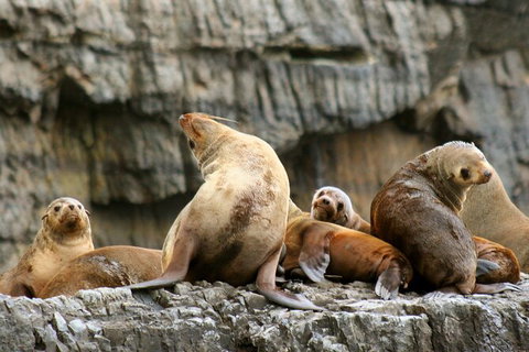 Full-Day Tasman Peninsula Tour From Hobart - Lightning Ridge Tourism 22