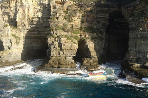 Full-Day Tasman Peninsula Tour From Hobart - Lightning Ridge Tourism 18