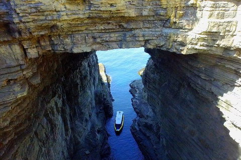 Full-Day Tasman Peninsula Tour From Hobart - Lightning Ridge Tourism 19