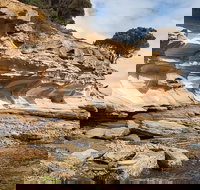 Maria Island premium private photo-oriented day tour from Hobart - Lightning Ridge Tourism