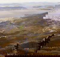 Mt Wellington Half Day Guided Summit Hike - Lightning Ridge Tourism