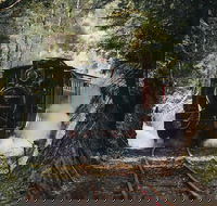 West Coast Wilderness Railway River and Rainforest from Strahan - Lightning Ridge Tourism