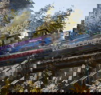 West Coast Wilderness Railway Queenstown Explorer from Strahan - Lightning Ridge Tourism