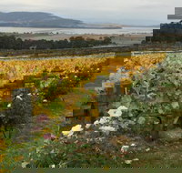 Mona and Wine Experience Tour - Lightning Ridge Tourism