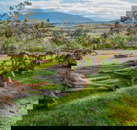 Shore Excursion Hobart's Best In Half A Day - Lightning Ridge Tourism