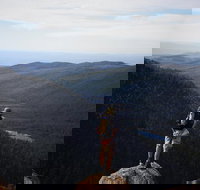 Mount Field National Park - Tarn Shelf  Russell Falls - Guided Hiking Tour - Lightning Ridge Tourism