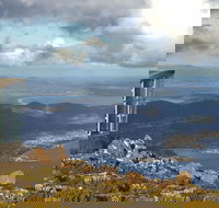 Half-Day Mt Wellington Summit Tour from Hobart - Lightning Ridge Tourism