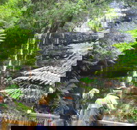 Mt Field National Park and Russell Falls from Hobart - Lightning Ridge Tourism