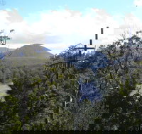 Huon Valley and Tahune Forest Airwalk Tour from Hobart - Lightning Ridge Tourism