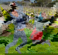 Mclaren Vale Luxury Full Day Small Group Wine Tour - Lightning Ridge Tourism