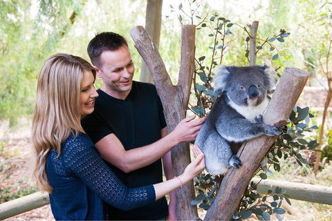 Adelaide Central Market With Cleland Wildlife Park And Mount Lofty Summit - Lightning Ridge Tourism 1
