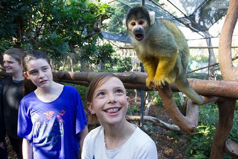 Adelaide Zoo Behind The Scenes Experience: Squirrel Monkey Feeding - Lightning Ridge Tourism 1