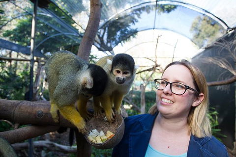 Adelaide Zoo Behind The Scenes Experience: Squirrel Monkey Feeding - Lightning Ridge Tourism 0