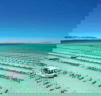 Coffin Bay Private Day Tour from Port Lincoln - A Taste of Coffin Bay - Lightning Ridge Tourism