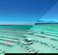 Coffin Bay Day Tour - A Taste of Coffin Bay - Lightning Ridge Tourism