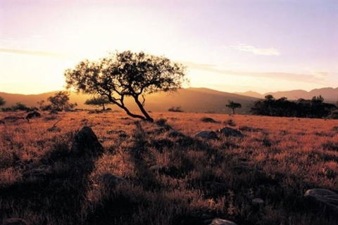 Adelaide To Coober Pedy 7 DAY SMALL GROUP 4WD SAFARI - Lightning Ridge Tourism 0