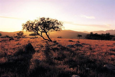 Adelaide To Coober Pedy 7 DAY SMALL GROUP 4WD SAFARI - Lightning Ridge Tourism 4