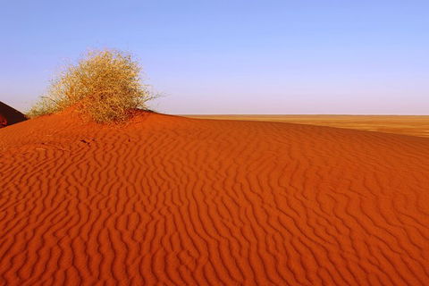 Adelaide To Coober Pedy 7 DAY SMALL GROUP 4WD SAFARI - Lightning Ridge Tourism 3