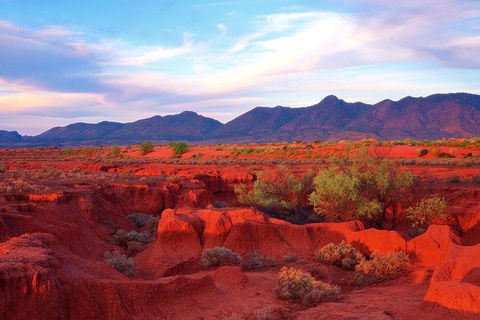Adelaide To Coober Pedy 7 DAY SMALL GROUP 4WD SAFARI - Lightning Ridge Tourism 7