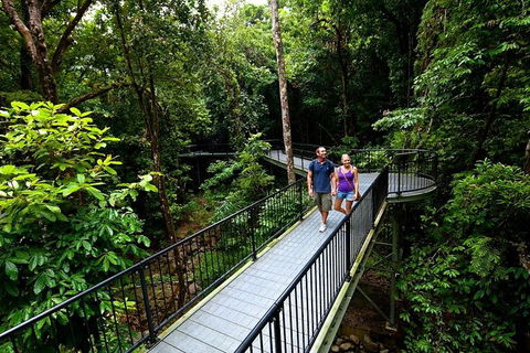 5-Day Best Of Cairns With Daintree, Kuranda, And Great Barrier Reef - Lightning Ridge Tourism 4