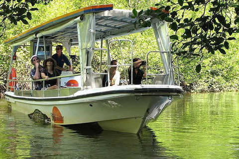 5-Day Best Of Cairns With Daintree, Kuranda, And Great Barrier Reef - Lightning Ridge Tourism 8