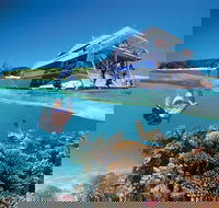 3-Day Southern Great Barrier Reef Tour Including Lady Musgrave Island - Lightning Ridge Tourism