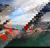 Moreton Island Day Trip Kayak Snorkel  Sandboard frm Brisbane or Gold Coast - Lightning Ridge Tourism