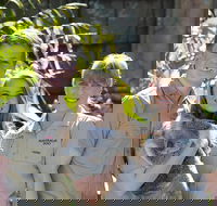 Koala Cuddle Adventure Croc 2 - Lightning Ridge Tourism