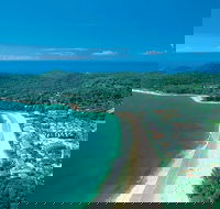 Sunshine Coast Hinterland and Noosa Day Trip from Brisbane Including Eumundi Markets and Ginger Factory - Lightning Ridge Tourism