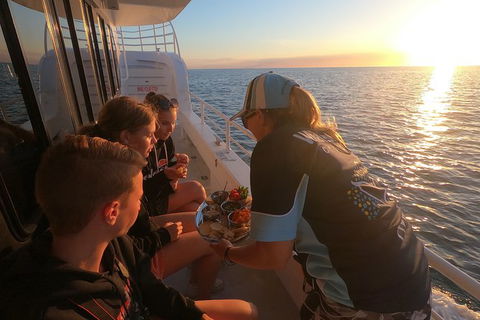 Hervey Bay Whale Watching Experience - Lightning Ridge Tourism 15