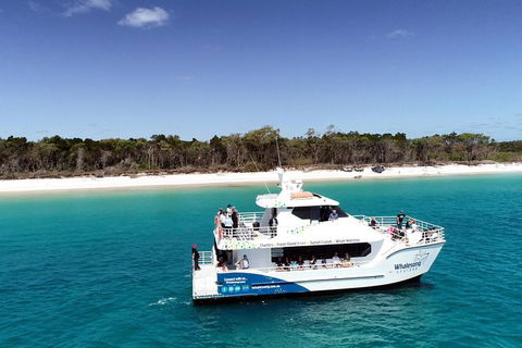 Hervey Bay Whale Watching Experience - Lightning Ridge Tourism 11