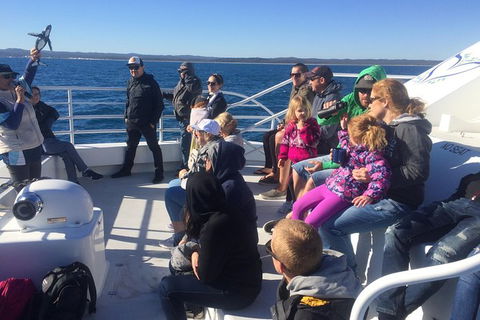 Hervey Bay Whale Watching Experience - Lightning Ridge Tourism 10