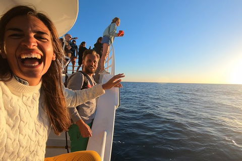 Hervey Bay Whale Watching Experience - Lightning Ridge Tourism 9