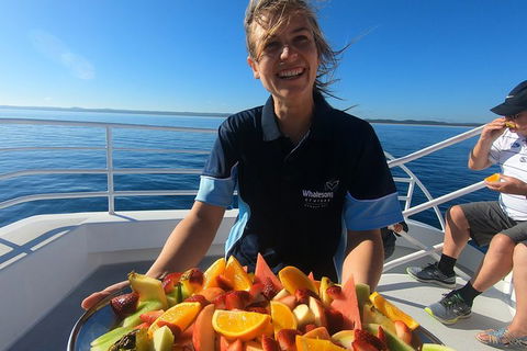 Hervey Bay Whale Watching Experience - Lightning Ridge Tourism 5