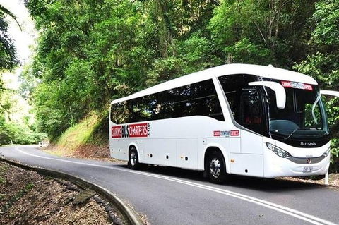 Palm Cove Departure Transfer - Palm Cove To Airport - Lightning Ridge Tourism 1