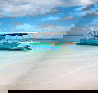 Great Sandy Marine Park Turtle Discovery and Cultural Eco Tour - Lightning Ridge Tourism
